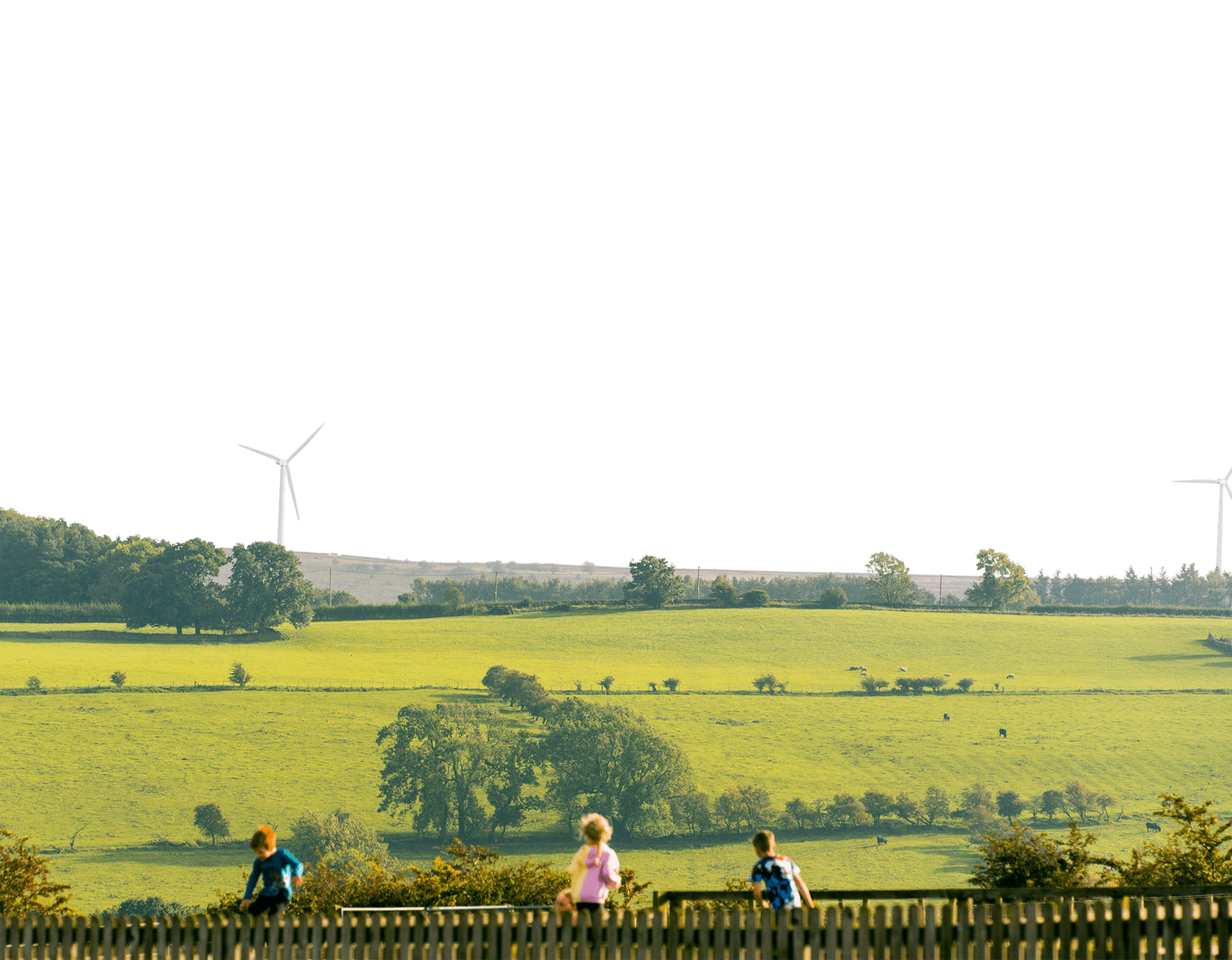 Wind turbines in background field